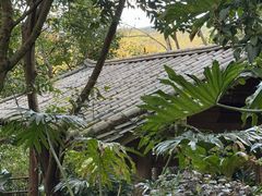 -腾冲洞山温泉村