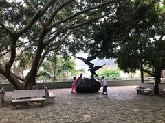 -广东惠东海龟国家级自然保护区