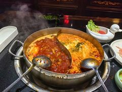 -矮板凳老火锅(宽窄巷子店)