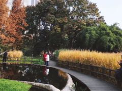 -成都市活水公园