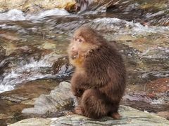 -西岭雪山大飞水景区