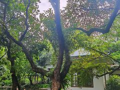 -广州兰圃