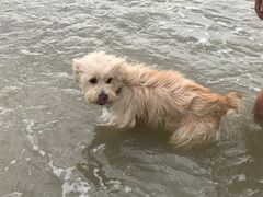 -嵊泗基湖沙滩