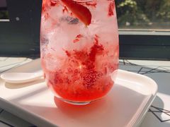 草莓苏打-MZ猫咖