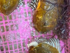 -众味海鲜大排档·活海鲜·潮汕味(南澳店)