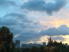 -AdD全日制餐厅(中谷花园酒店)