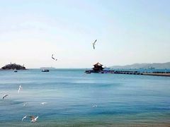 -老味道民宿(栈桥店)