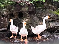 -兰亭风景区