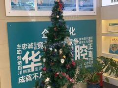 -华齿口腔·矫正种植中心(松江环城路店)