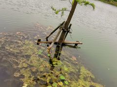 -昆山城市生态森林公园