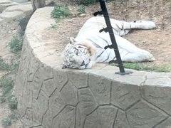 -大连森林动物园