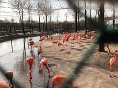 -鄂尔多斯野生动物园