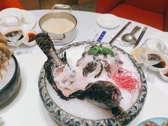 石斑鱼-红鼎豆捞·非遗鲍皇汤火锅(宝丰路店)