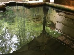 -有马温泉 竹取亭円山温泉旅馆