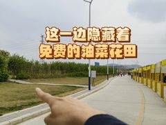 -长洲岛
