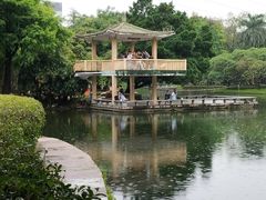 -晓港公园