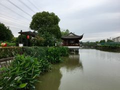 -宏泰园蔬果专业合作社
