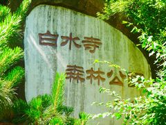 -白水寺森林公园