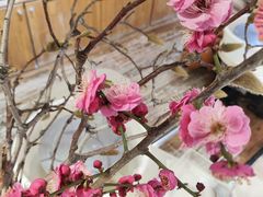 -今日陶艺(富力广场店)