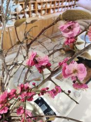 -今日陶艺(富力广场店)