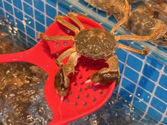 -焰江山海鲜牛排烤肉自助(锦华万达二星店)