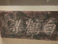 -白鹤梁水下博物馆