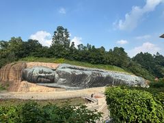 -三水森林公园