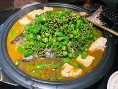 -探鱼·鲜青椒爽麻烤鱼(领展购物广场店)