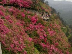 android_upload_pic-木兰云雾山