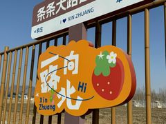 -辛庄国际文化艺术区