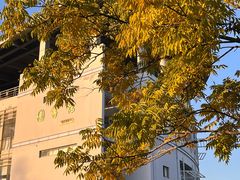 -浙江农林大学(东湖校区)