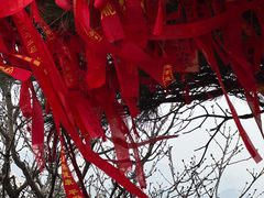 -泰山风景名胜区