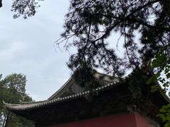 -永乐宫