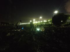 -宝安西湾红树林湿地公园