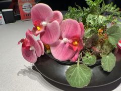 -三利音·东方司宴(外滩店)