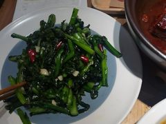 -鸽子窝(宋庄店)