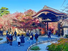 -常寂光寺