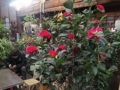 -龙姐私房菜(和顺古镇店)