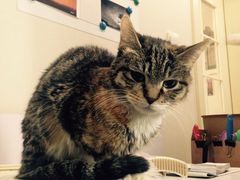 iphone_upload_pic-A+摄影
