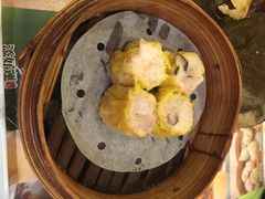 添好运点心专门店(北角店)-添好运点心专门店(北角店)