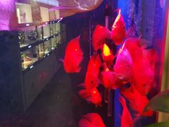 -宫七SPA·高端Massage(浦东大道店)