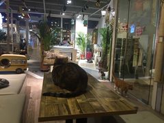 -小时光咖啡馆(开森度假森林店)