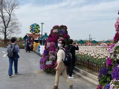 -荷兰花海