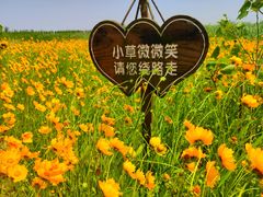 -春花秋色城市公园