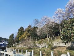 -东山风景区(洞庭东山)