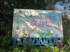 -福田红树林生态公园