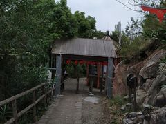 -花岙岛