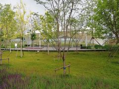 -坝河休闲公园