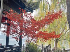 -金海华·华宴江南(斜塘店)