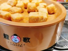 -龍歌自助小火锅(市南金茂湾店)